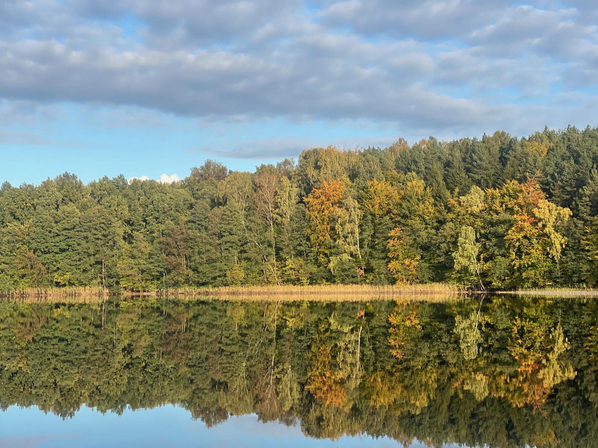 Hytte Narie 1 Моронг Экстерьер фото